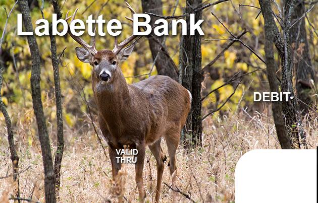 Buck