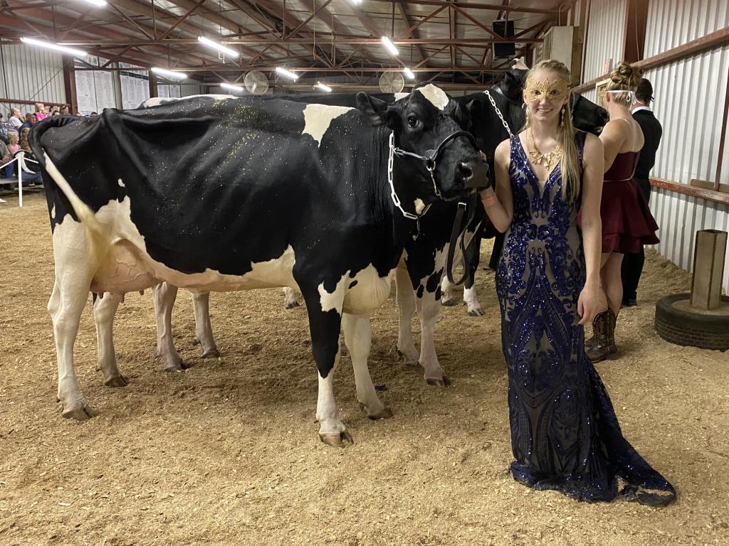 Donna Robaidek - 2021 Shawano County Fair - Holstein Association Futurity Show. The theme was The Masquerade Ball. The cow is 3 years old and her name is Daisy, owned by Dustin Robaidek and shown by Danielle Robaidek.