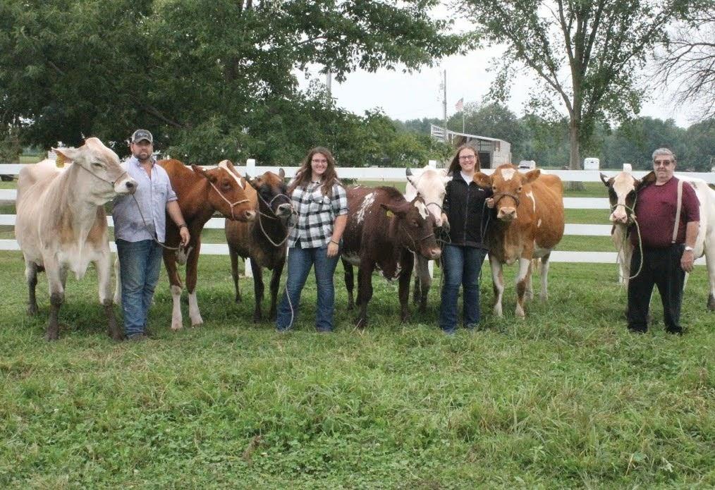 Emma Schoneck - Marion - 	 The Schoneck farm with all seven dairy breeds before they head to the county fair.