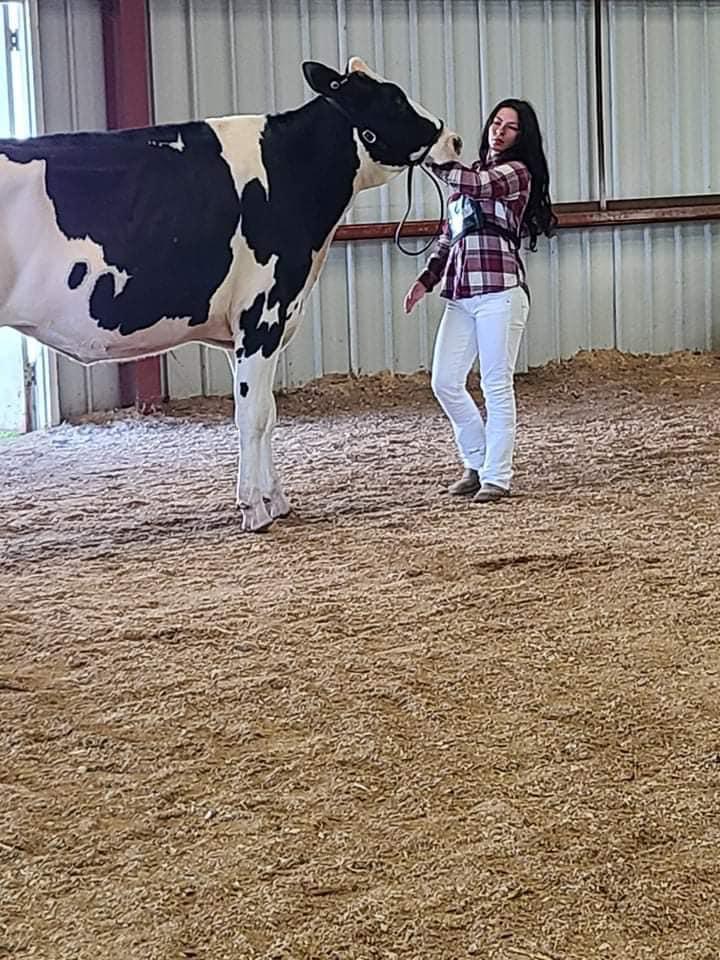Sarah Roe - Alexis Roe showing her heifer at Shawano County Fair