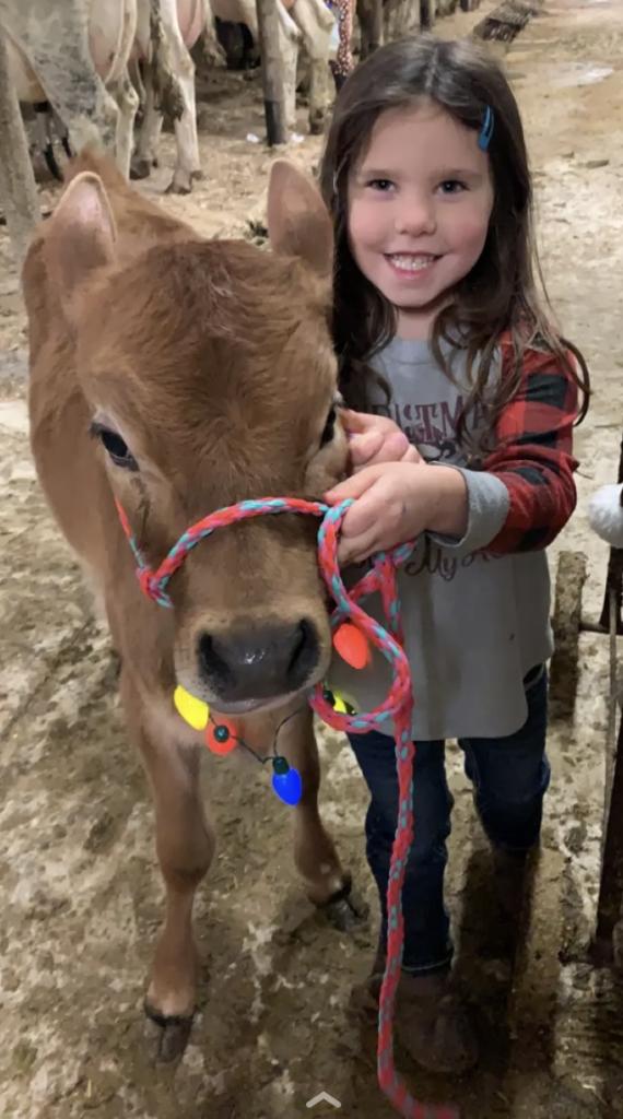Sarah Roe - Roe Dairy - Dakota Roe celebrating Christmas Eve with her calf Caramel