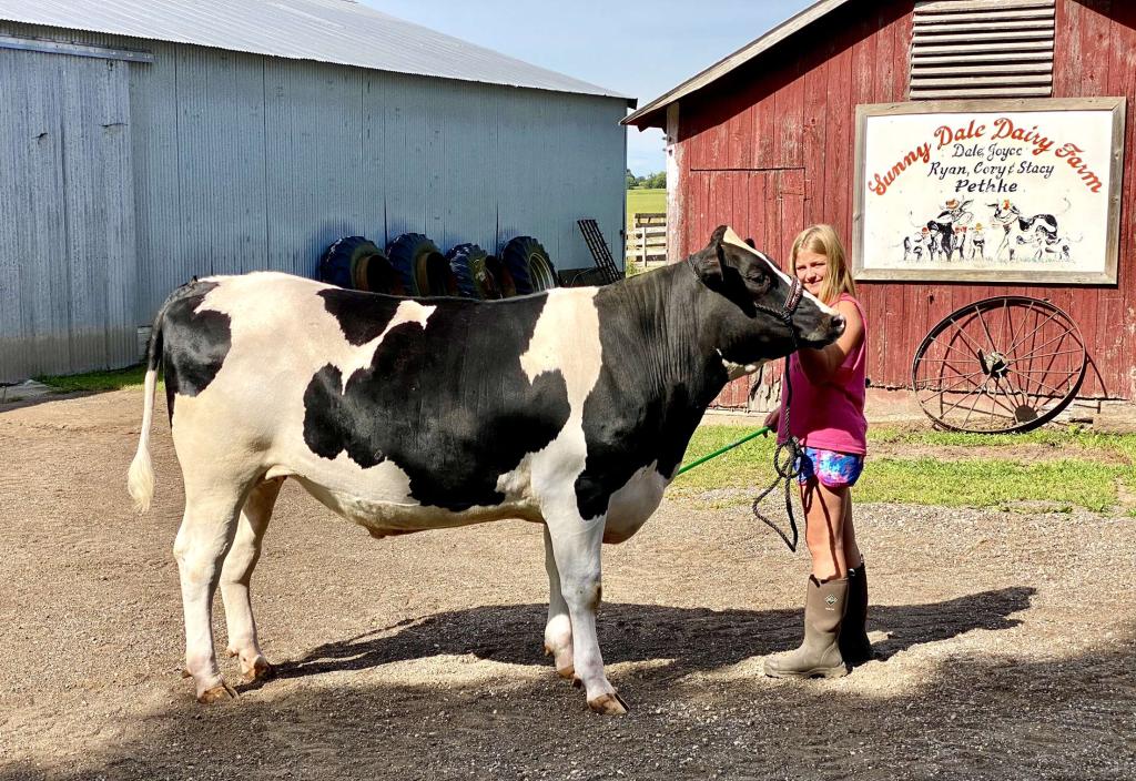Tara Pethke - Manawa - Callie getting her first market steer ready